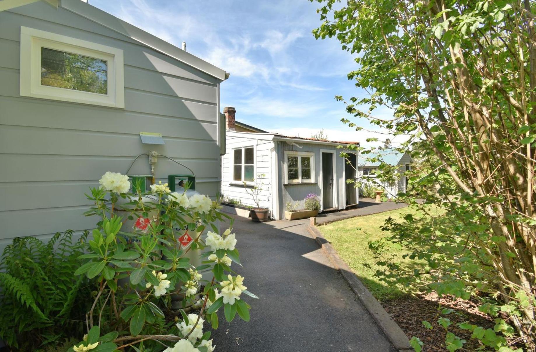 In Dunedin'S Heart, Full House, Full Sun, Full Chill, Why Stay At A Hotel When You Can Afford An Entire House Exterior photo